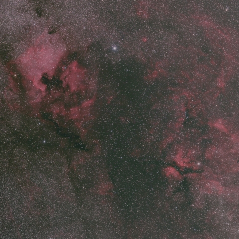 白鳥座　北アメリカ星雲＆サドル付近の散光星雲