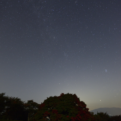 七色大カエデと秋の銀河