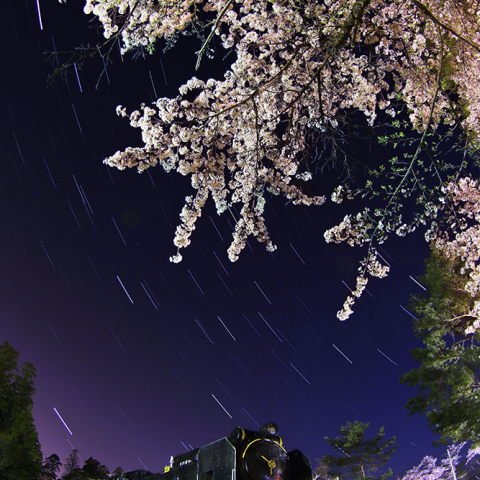 春の銀河ステーション