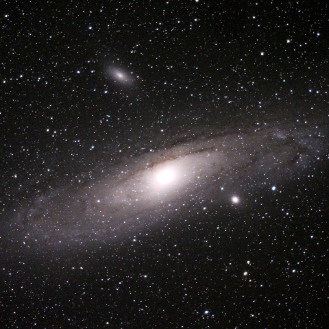 M31