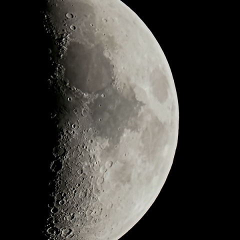 月齢７　2024/9/10