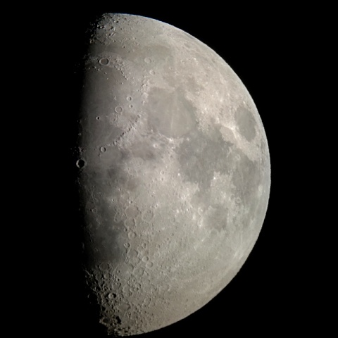 月齢９　2024/9/12