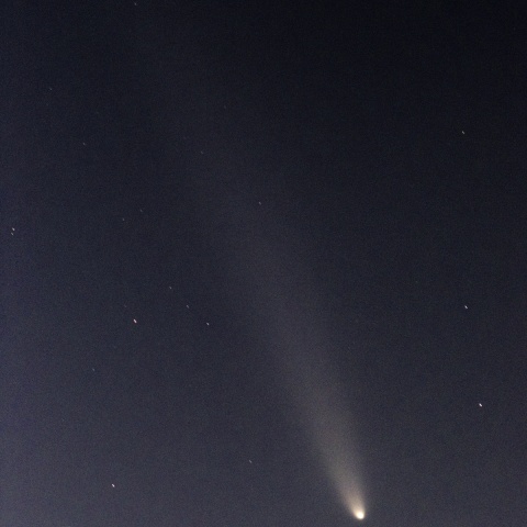紫金山・アトラス彗星（2024/10/14）