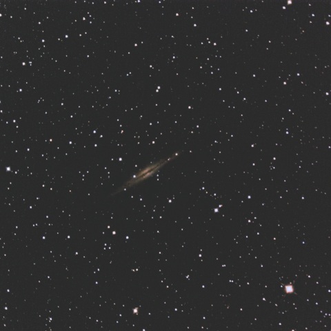 NGC891