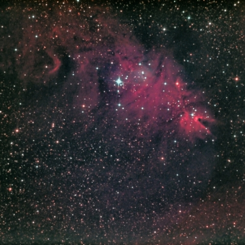 コーン星雲付近