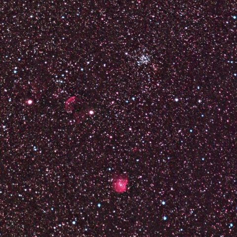 Ｍ３５&くらげ星雲&モンキー星雲