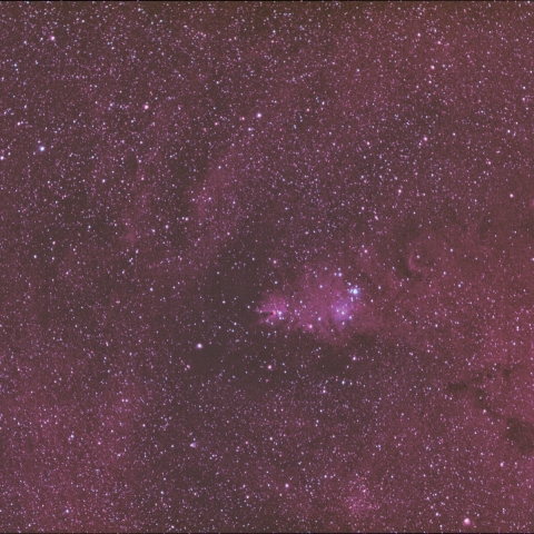 クリスマスツリー星団