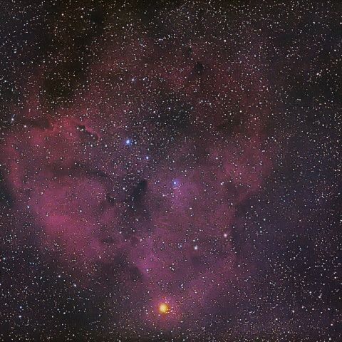 ケフェウス座 IC1396