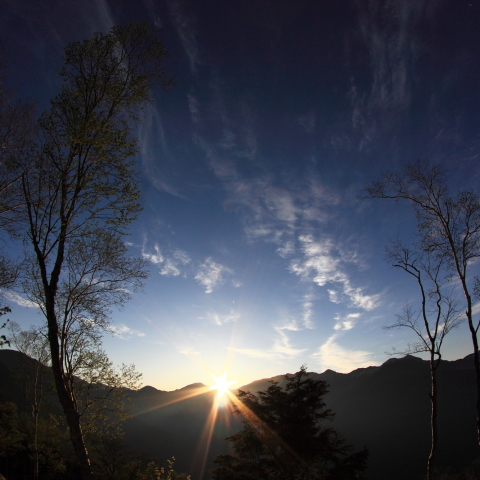 しらびそ高原の日の出