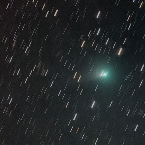 アトラス彗星(C/2019 Y1)　5月13日