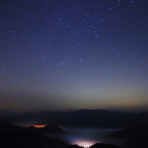 カノープス撮影成功？