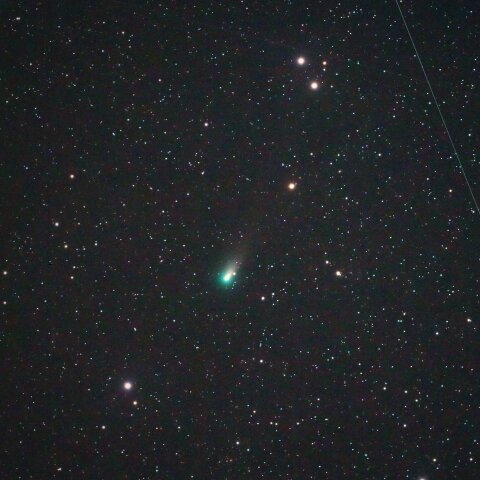 C/2021 A1（Leonard）