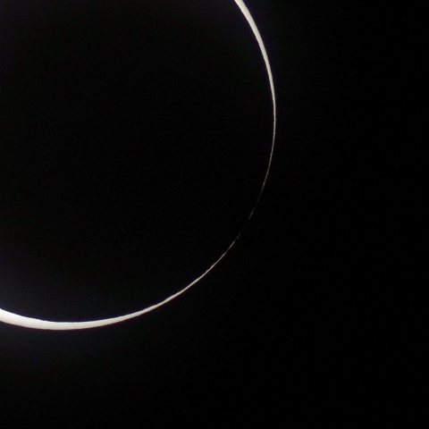 ベイリービーズ