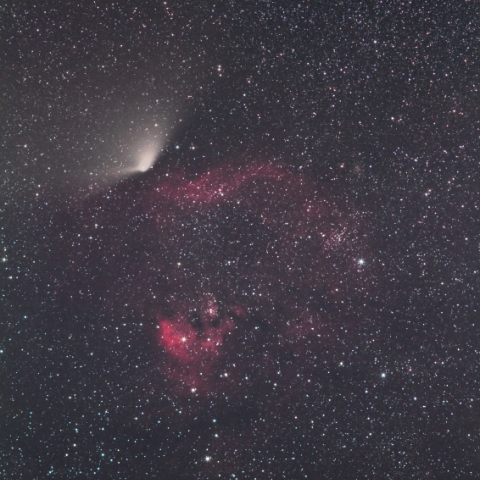 パンスターズ彗星とNGC7822＆Ced214