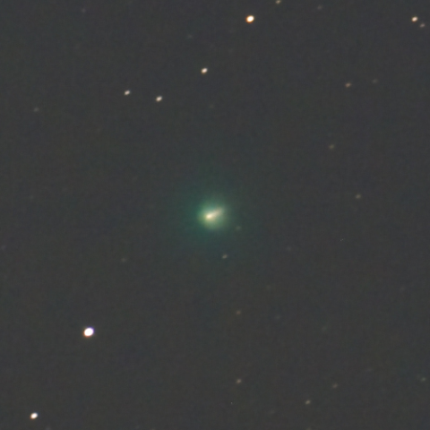 池谷・村上彗星（１１月６日明け方）