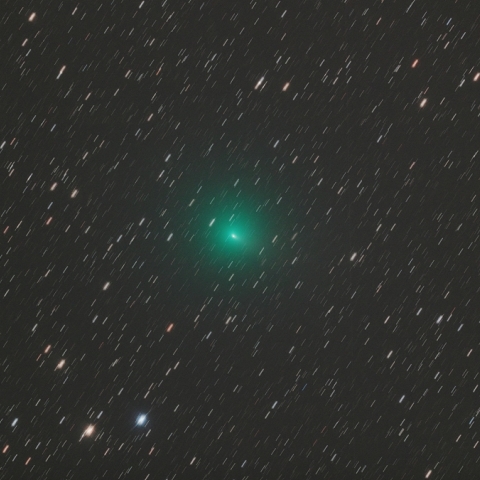 タットル・ジャコビニ・クレサーク彗星（4/23）