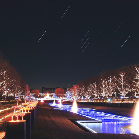 Winter Vista Illumination ＆ Orion Star Trails