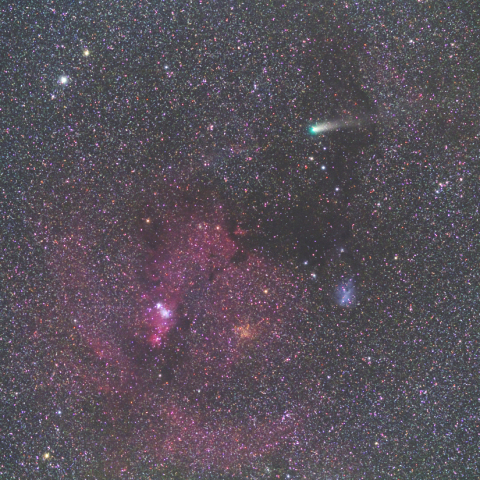 クリスマスツリー星団付近を行く21P/Giacobini-Zinner