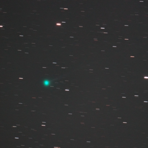 C/2018 V1 (Machholz-Fujikawa-Iwamoto) 11/11