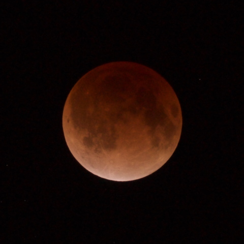 皆既月蝕(20111210)