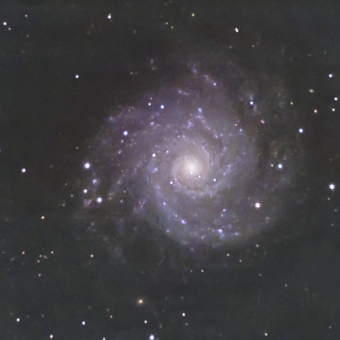 M74