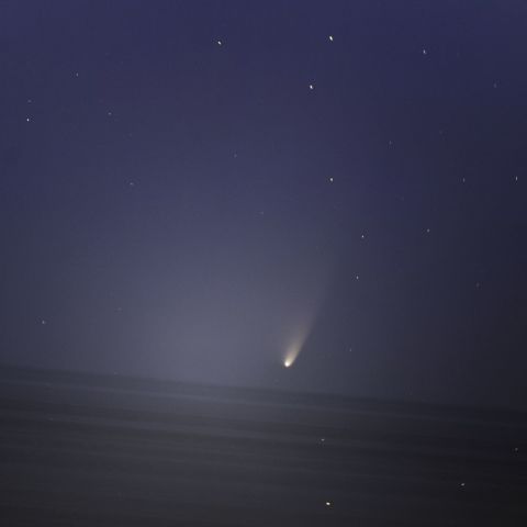 3/21のパンスターズ彗星