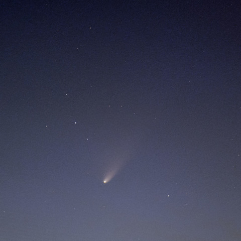 3月25日のパンスターズ彗星