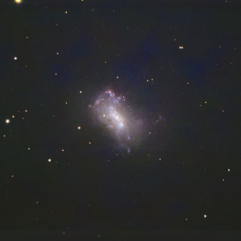 NGC4449