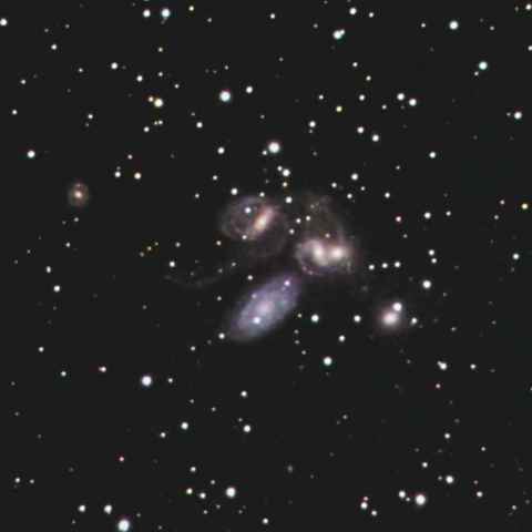 ステファンの５っ子