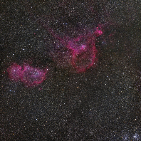 秋のハイライト