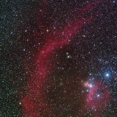 バナードループと馬頭