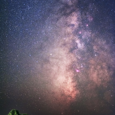 星を見上げる親子