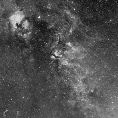 デネブ、サドルの辺り