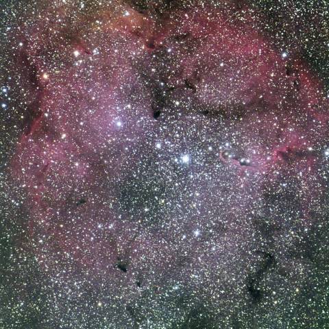 ＩＣ１３９６