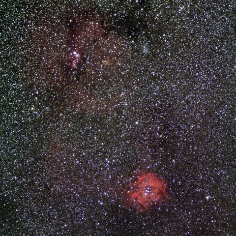 コーンから薔薇辺り