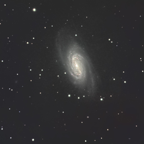 NGC2903