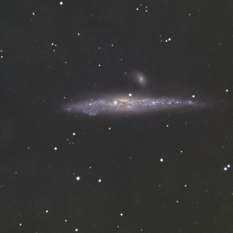 NGC4631