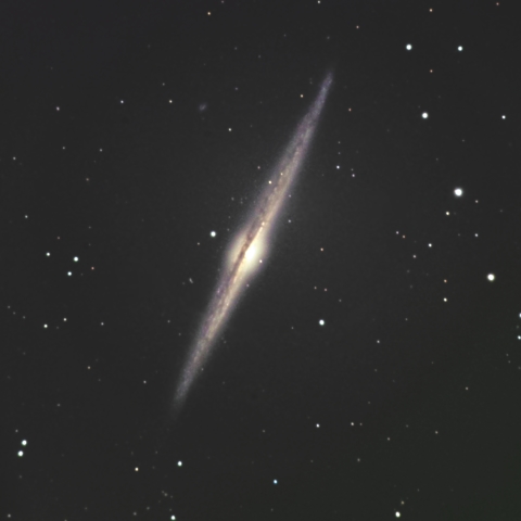 NGC4565