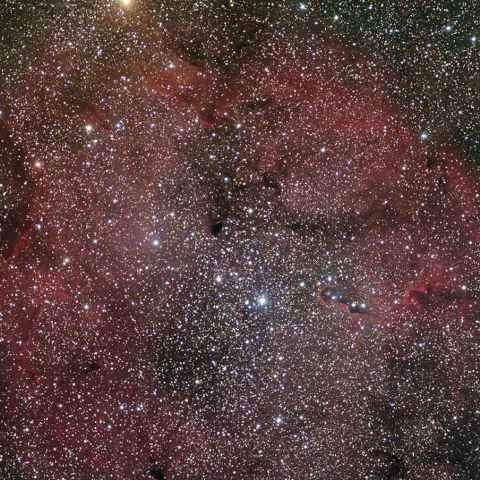 IC1396