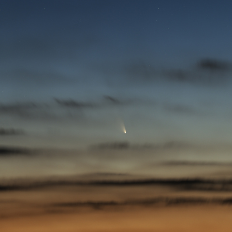 パンスターズ彗星3月14日その3