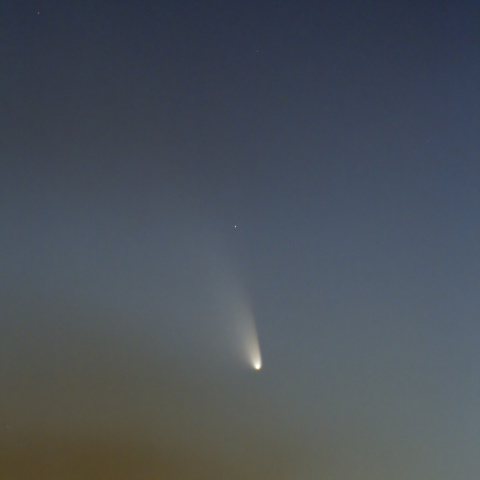 パンスターズ彗星3月14日その4