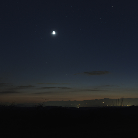 3月14日のパンスターズ彗星と月