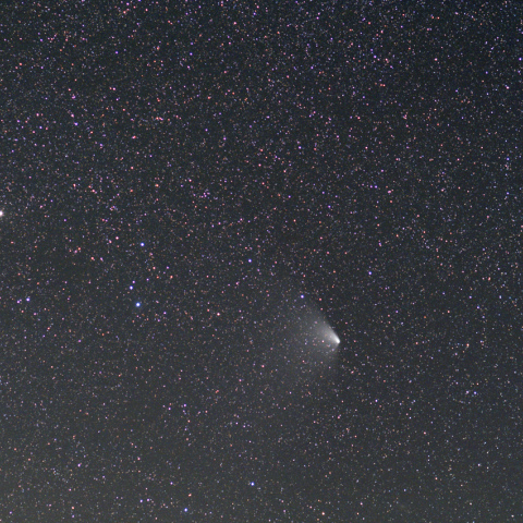 パンスターズ彗星とNGC281