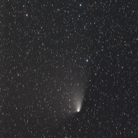 パンスターズ彗星 4月14日