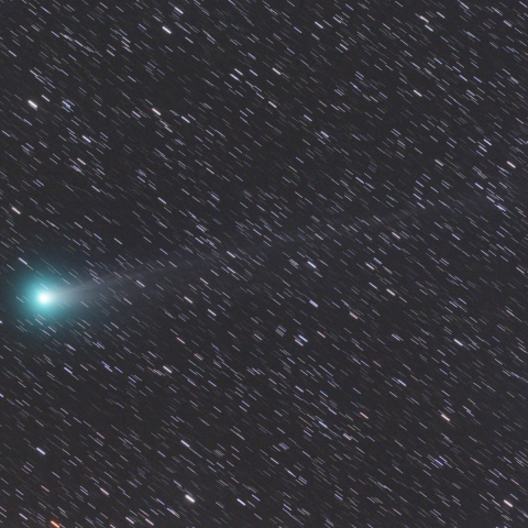 11月9日のラブジョイ彗星