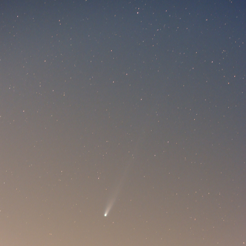 11月21日のアイソン彗星