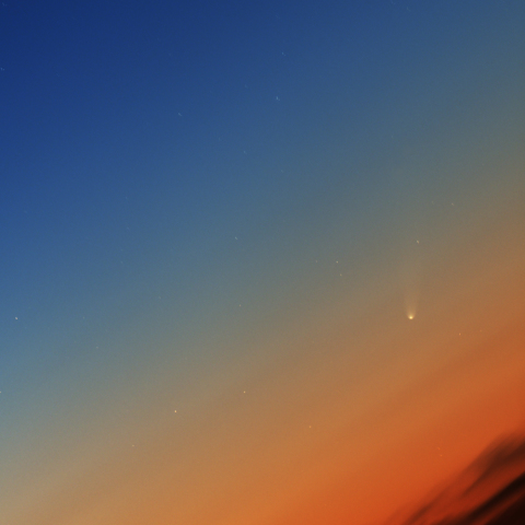 11月24日のアイソン彗星