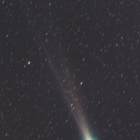 11月24日のラブジョイ彗星