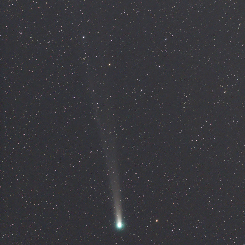 12月1日のラブジョイ彗星　その3