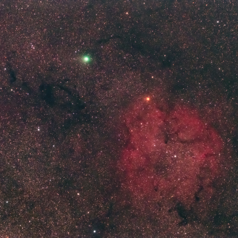 8/30ジャック彗星とIC1396